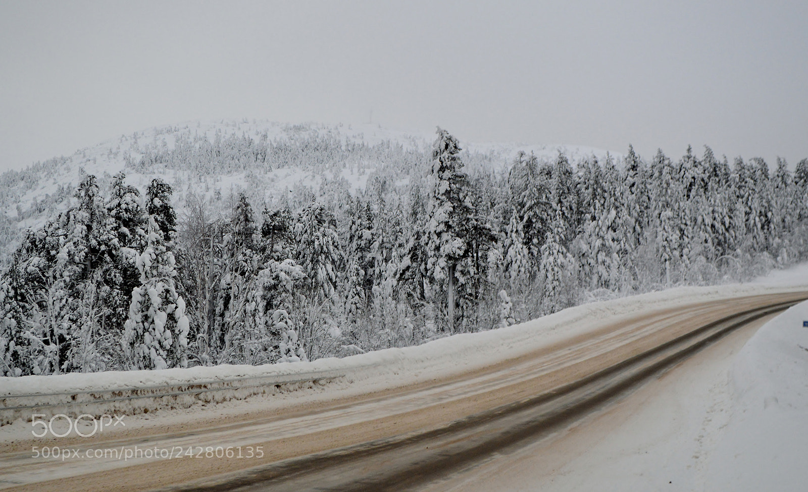 Nikon D3200 sample photo. Dsc 0036 -7.jpg snowy photography