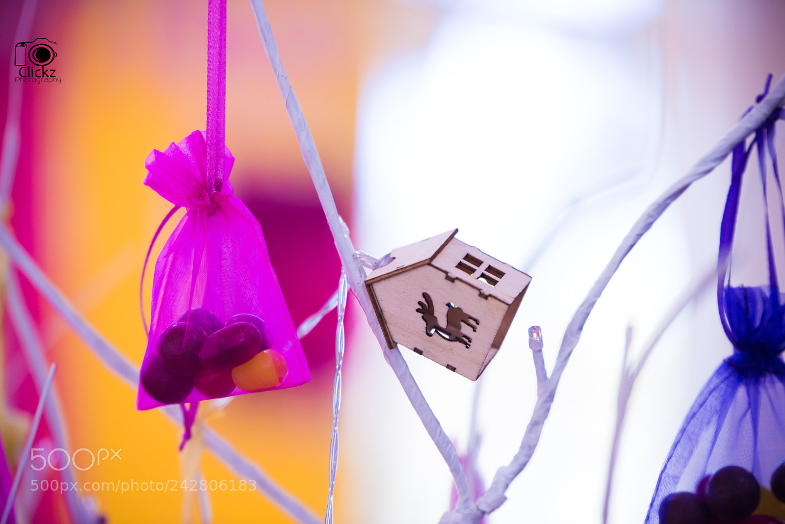 Nikon D810 sample photo. Ckz photography