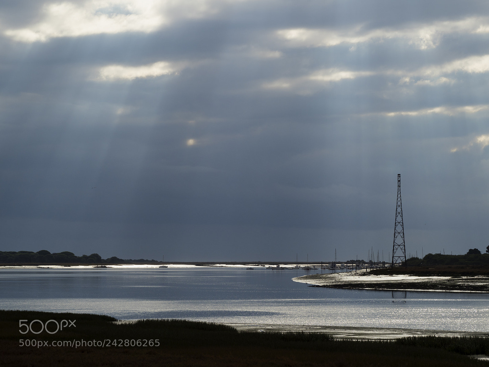 Olympus OM-D E-M1 Mark II sample photo. Sun rays. photography