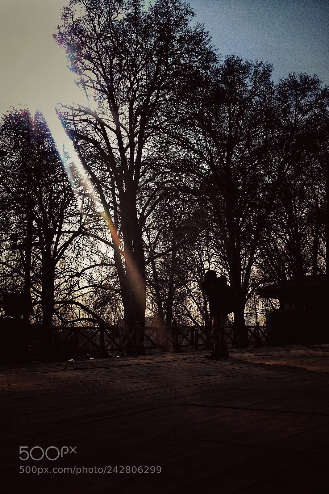 Apple iPhone 4S sample photo. One step away. photography