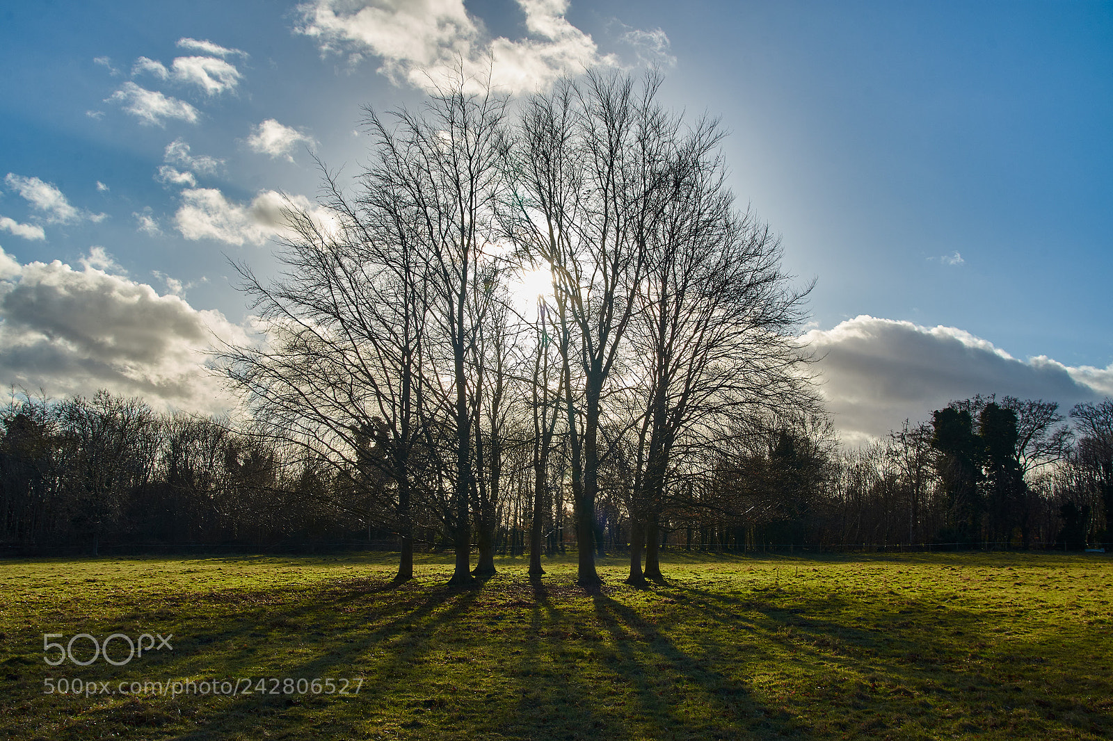 Nikon D7200 sample photo. Wandlebury, cambridge, england photography