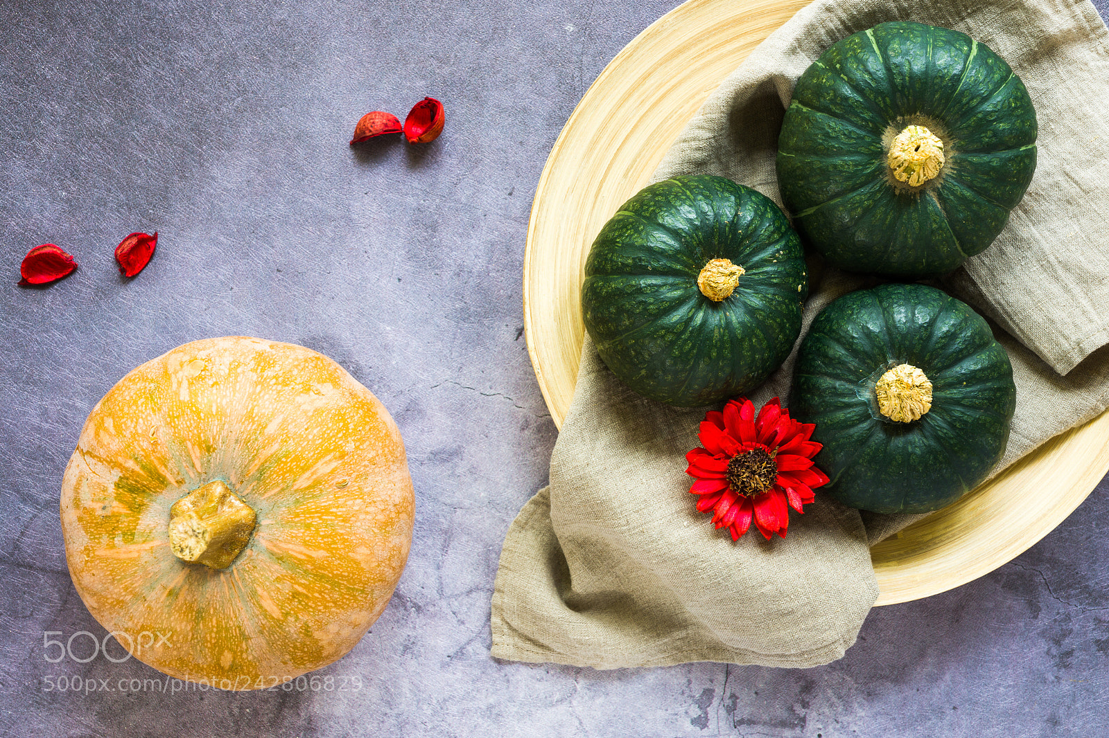 Sony a7 II sample photo. Decorative pumpkins in different photography
