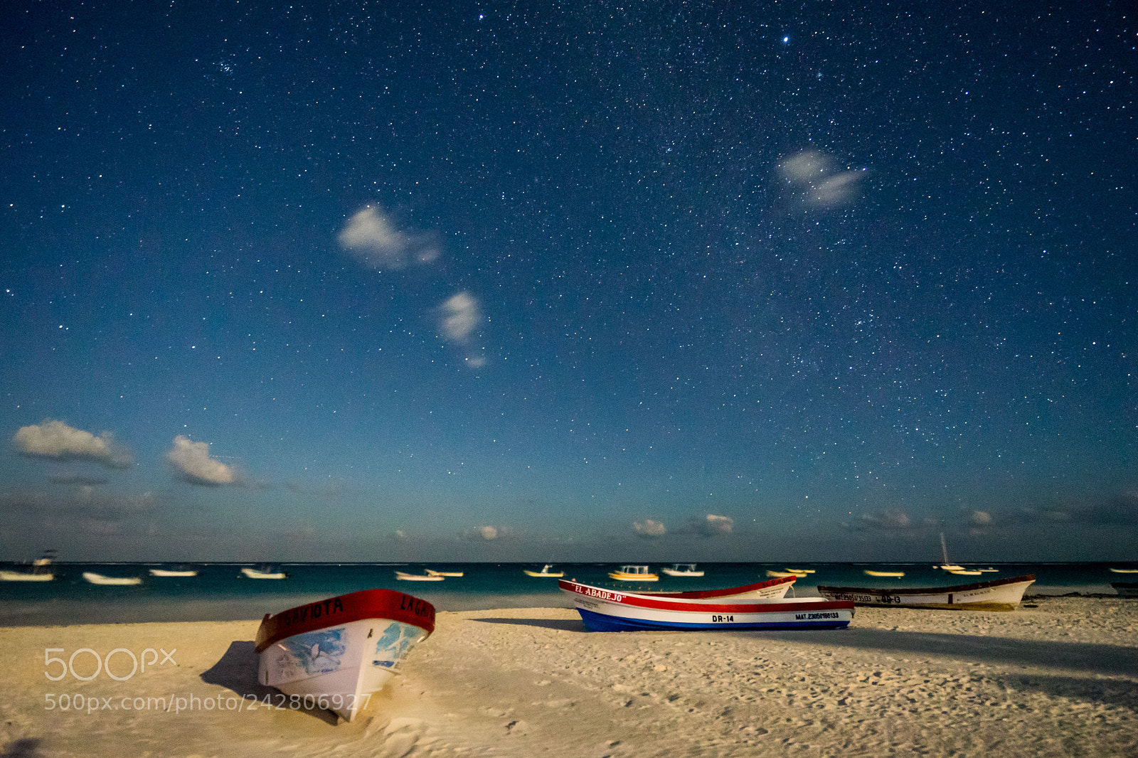 Sony a7 II sample photo. A beach in moonlight photography