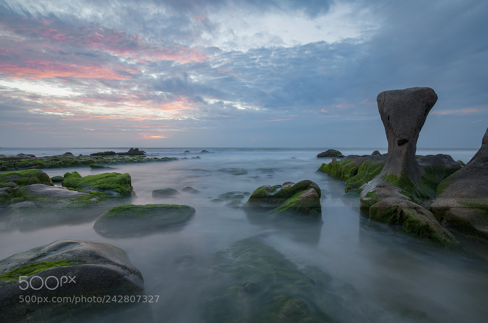 Canon EOS 5DS R sample photo. Moss island - co photography