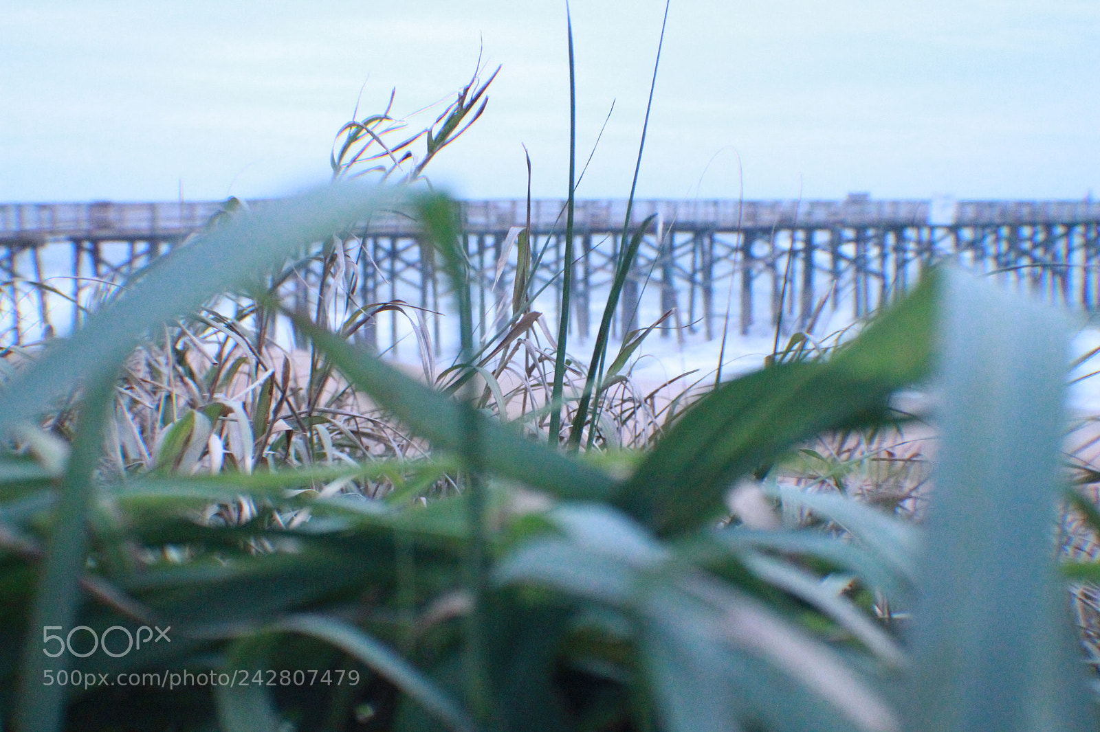Canon EOS 1100D (EOS Rebel T3 / EOS Kiss X50) sample photo. Flagler beach and pier photography