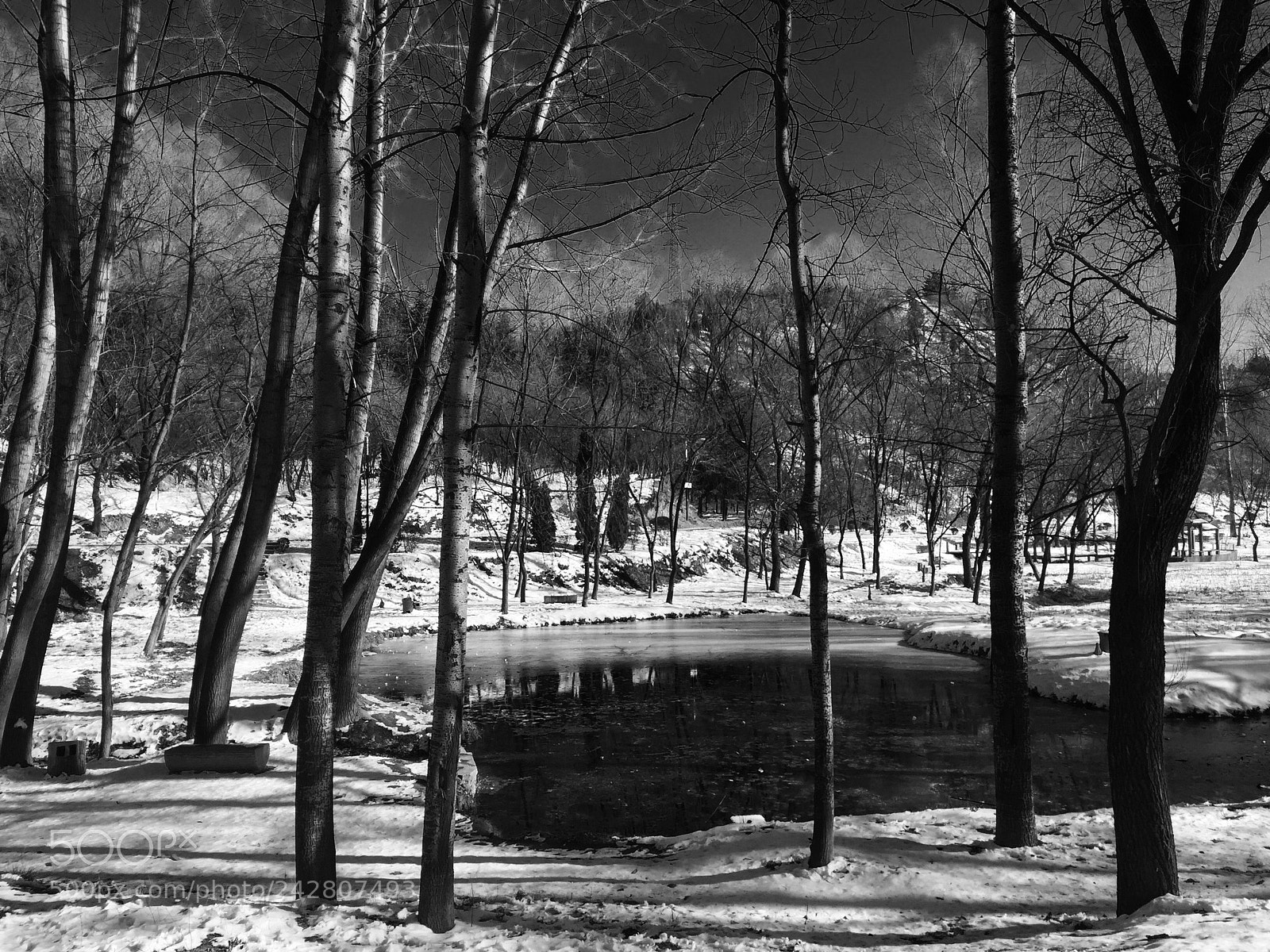 Apple iPhone 6 sample photo. Winter in black and photography
