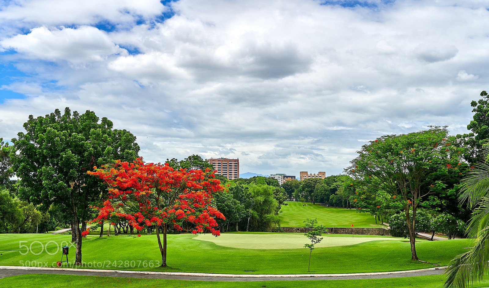 Sony a6500 sample photo. Golf in the middle photography