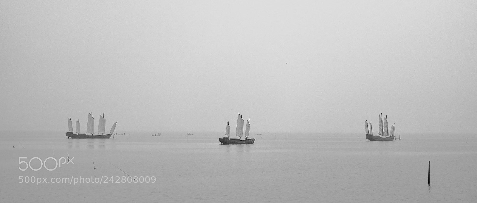 Sony DSC-RX100M5 sample photo. Untitled photography