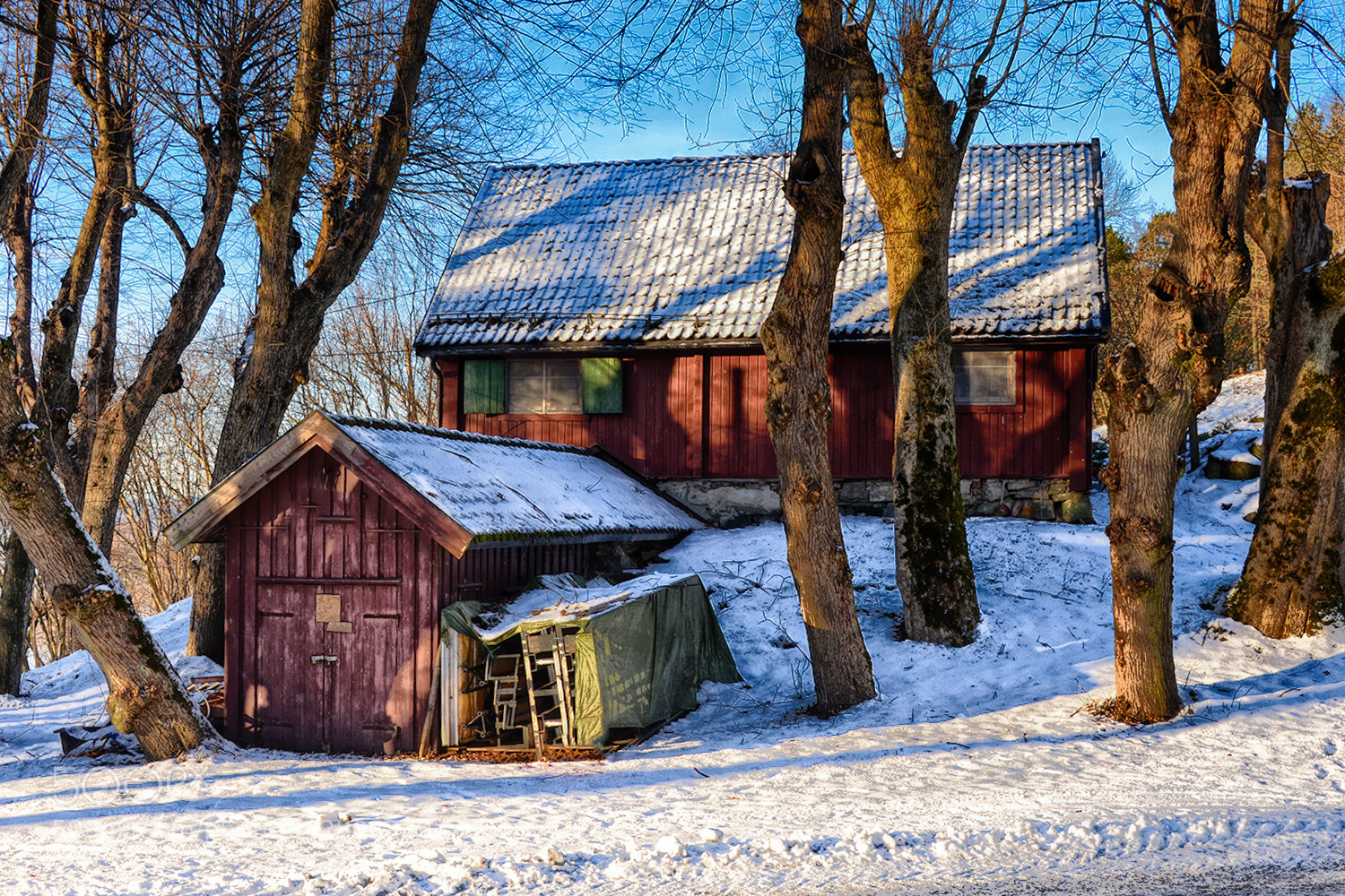 Nikon D5100 sample photo. Red houses photography