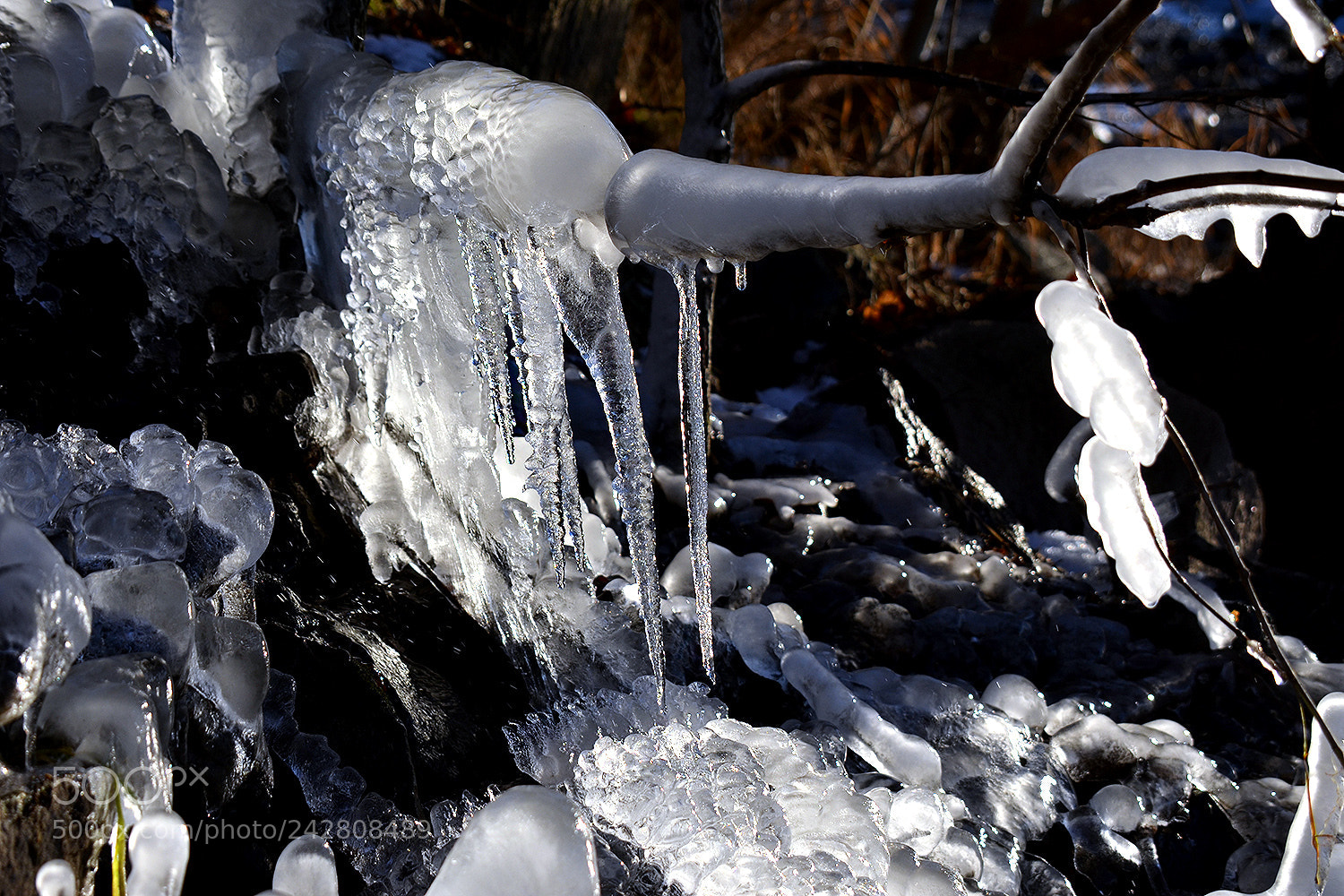 Nikon D5100 sample photo. Frozen photography