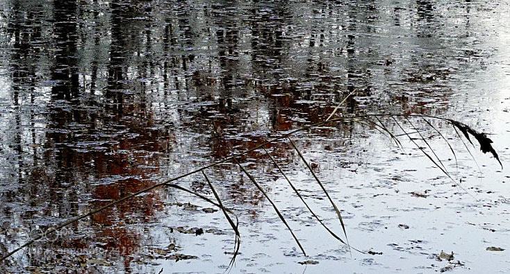 Sony ILCA-77M2 sample photo. Winter reflections photography