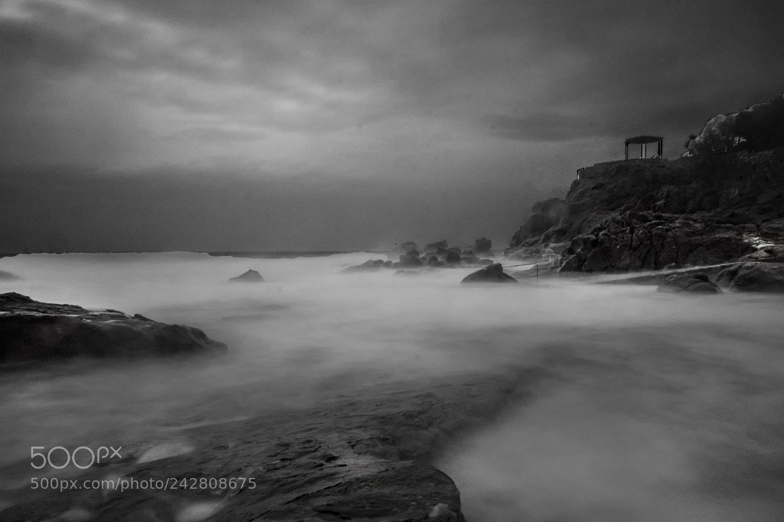 Nikon D7200 sample photo. Livorno black and white photography