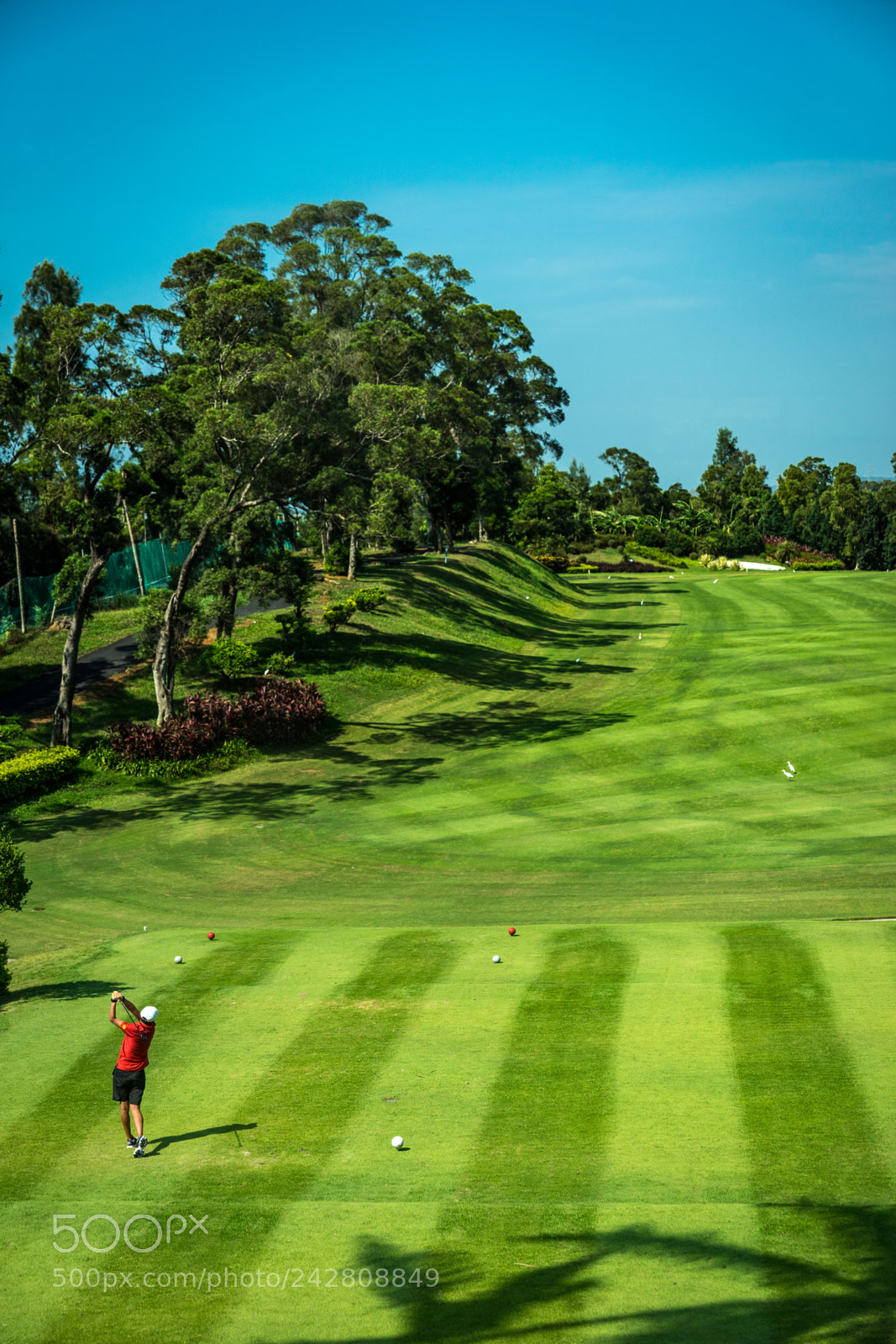 Sony a7 II sample photo. Golfer swinging in golf photography