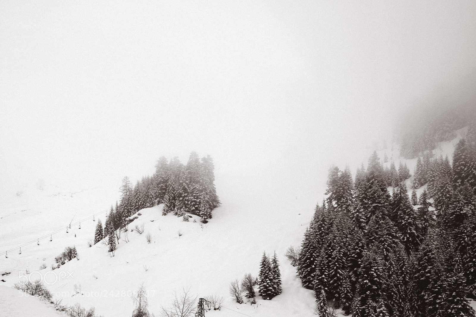 Nikon D800 sample photo. White times photography