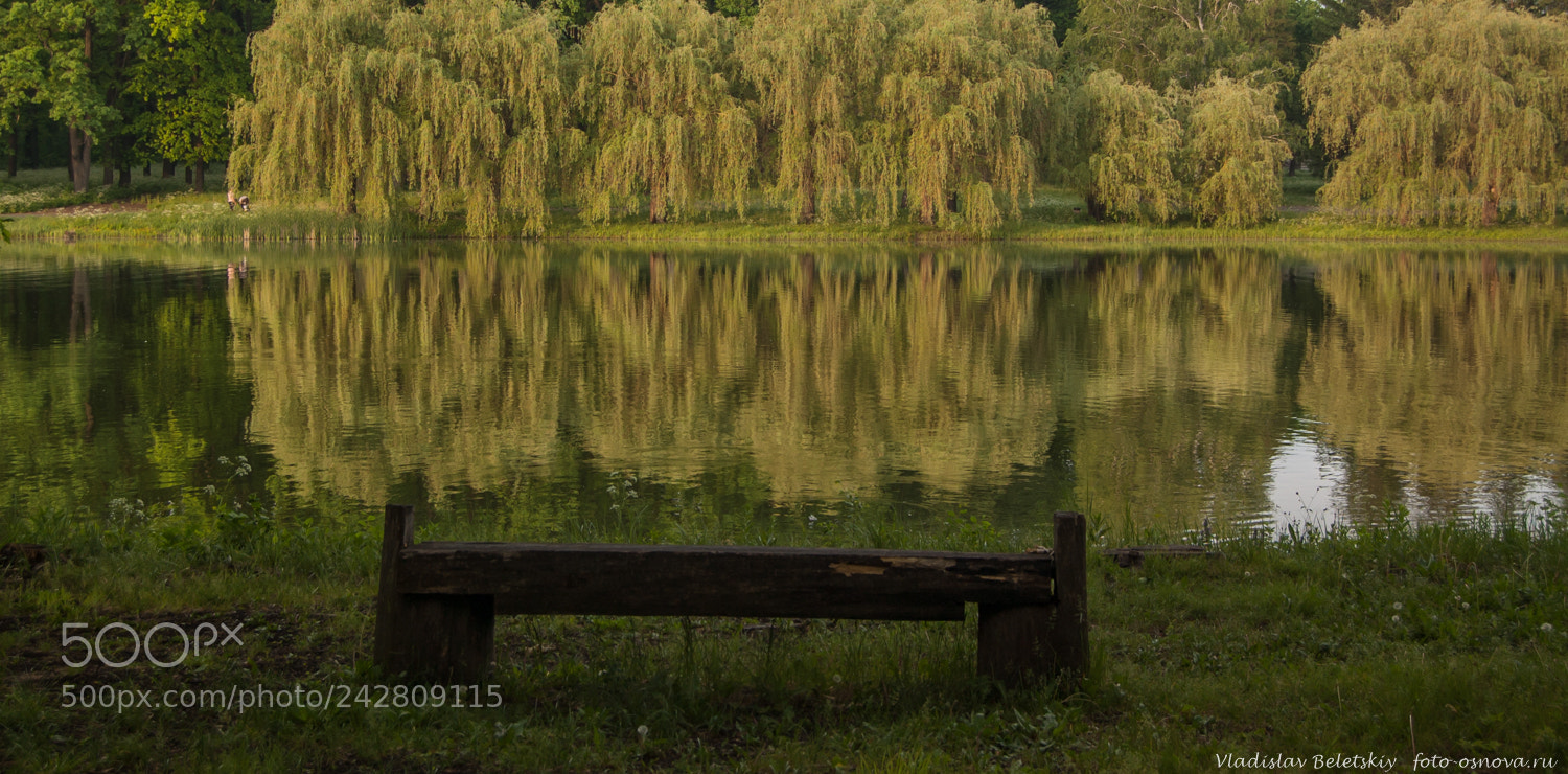 Nikon D40 sample photo. Calming silence... photography