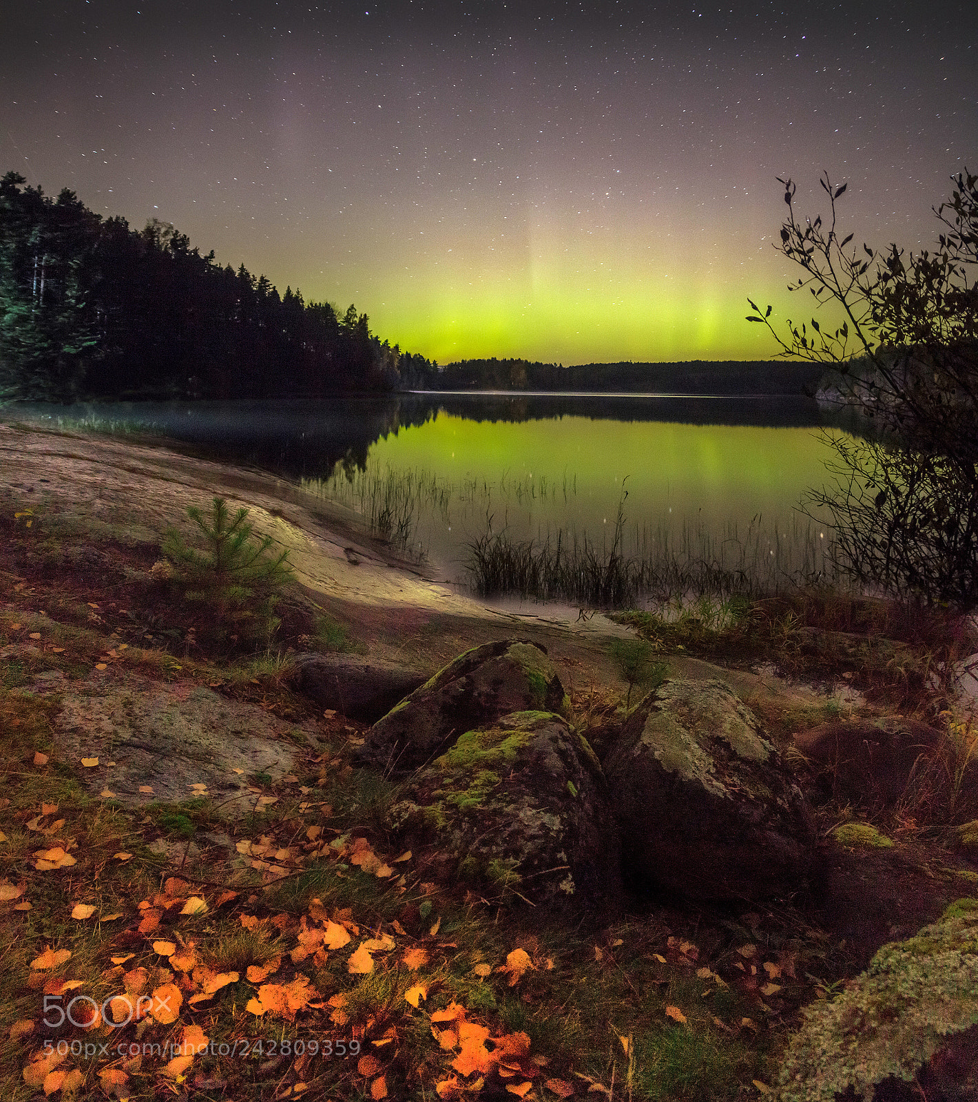 Canon EOS 60D sample photo. Northern lights on lake photography