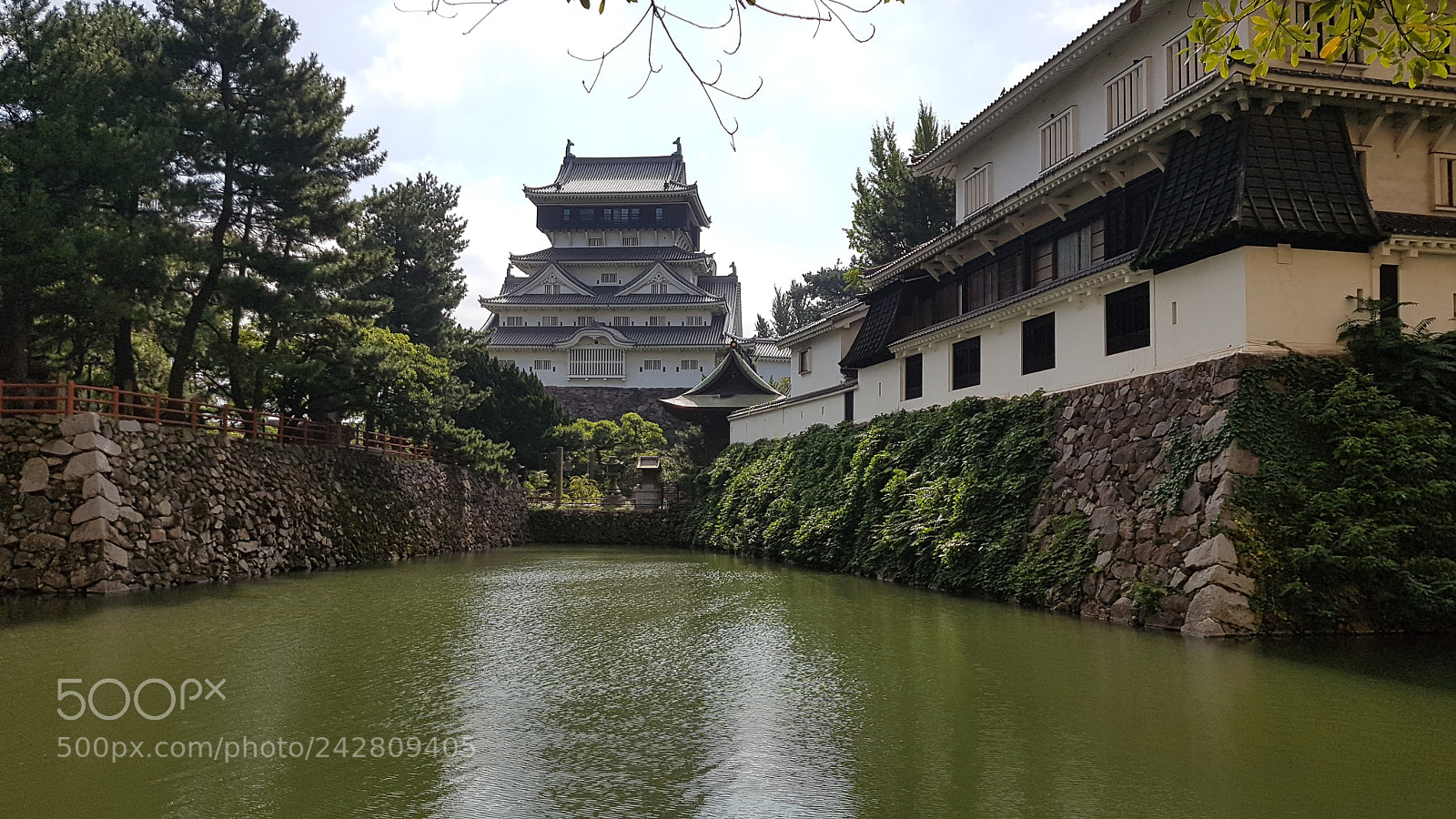 Samsung Galaxy S7 Edge sample photo. 20171008_125236.jpg photography