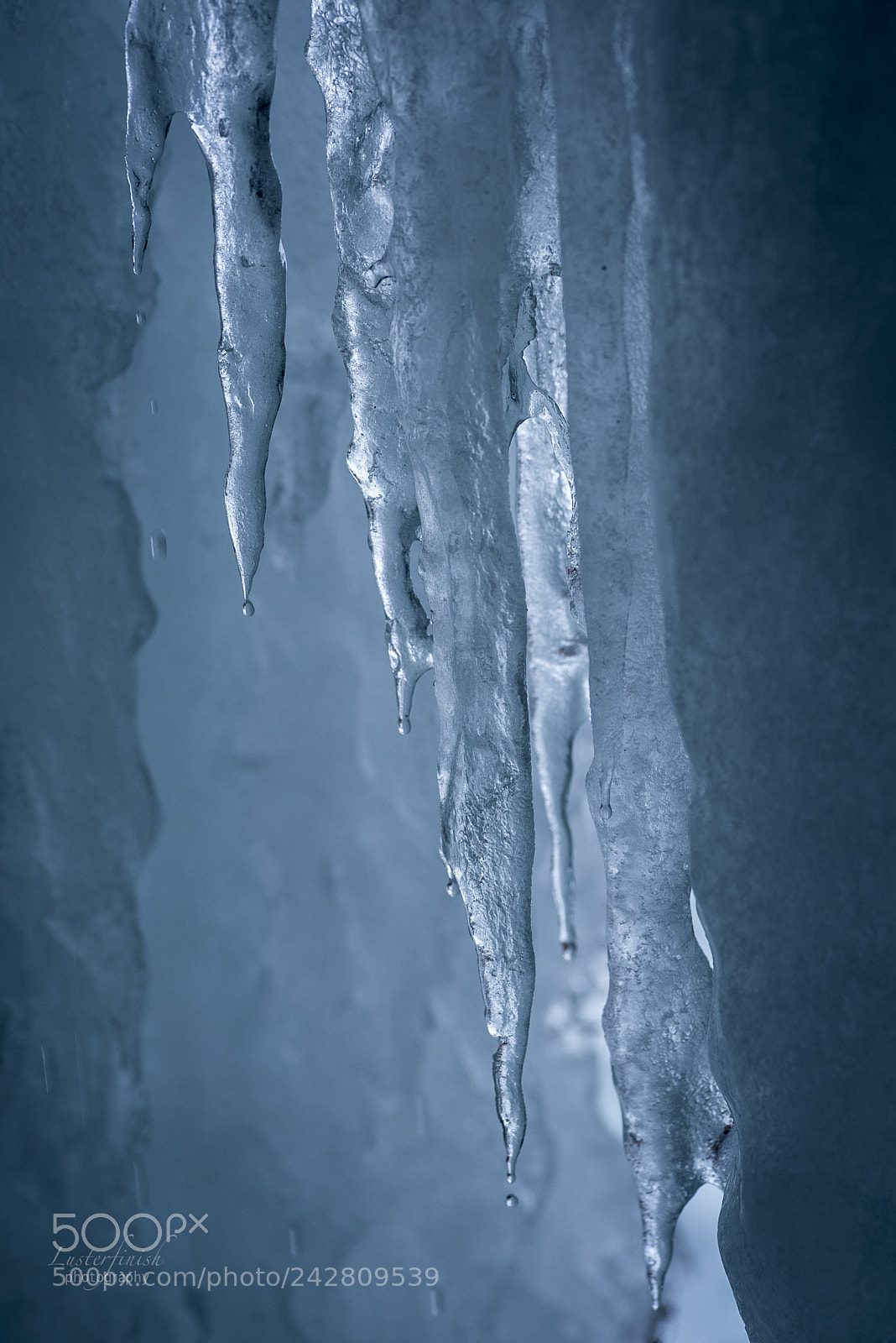 Nikon D810 sample photo. Icicles photography