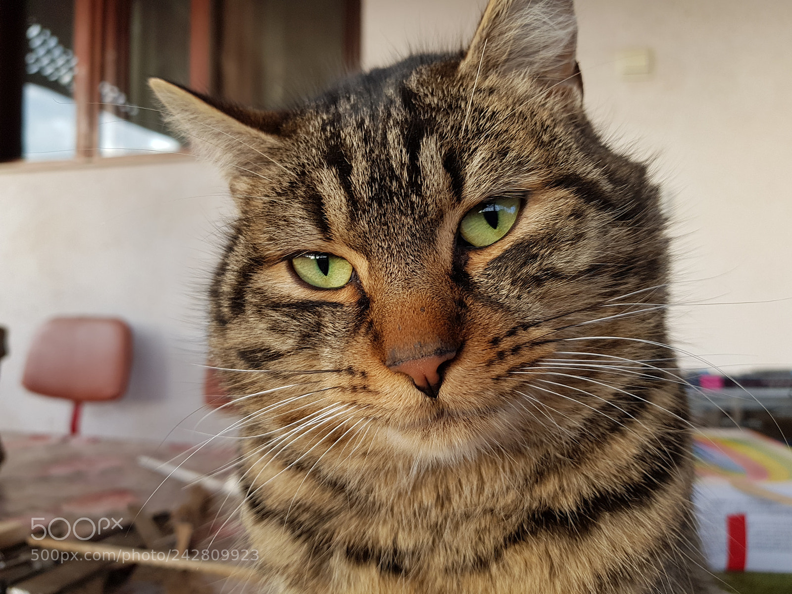 Samsung Galaxy S8+ sample photo. Untitled photography