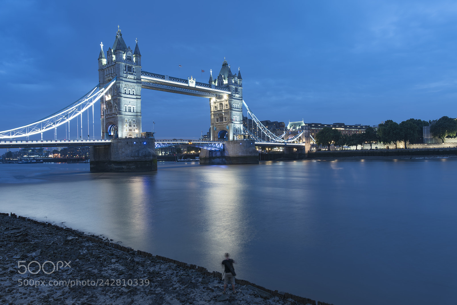 Nikon D810 sample photo. Tower bridge photography