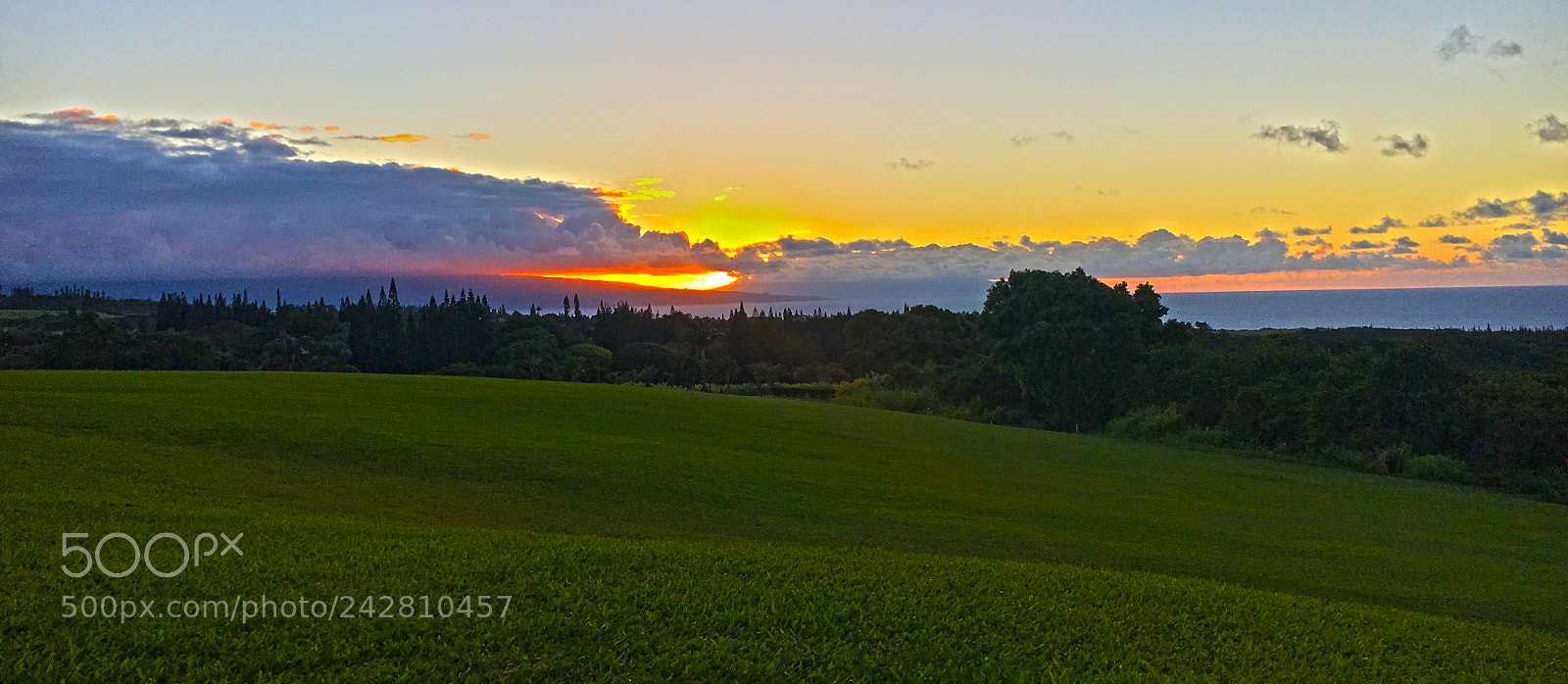 Apple iPhone 6s sample photo. Grassy hill sunset photography