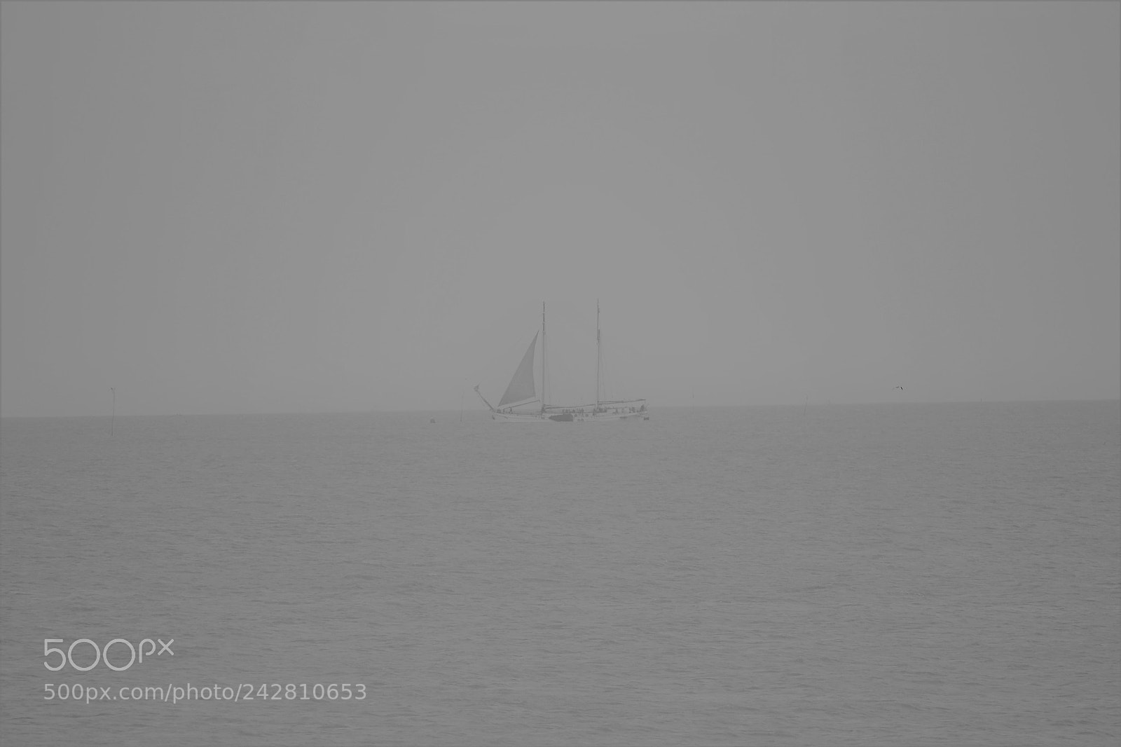Nikon D3100 sample photo. Kottertje ijsselmeer photography