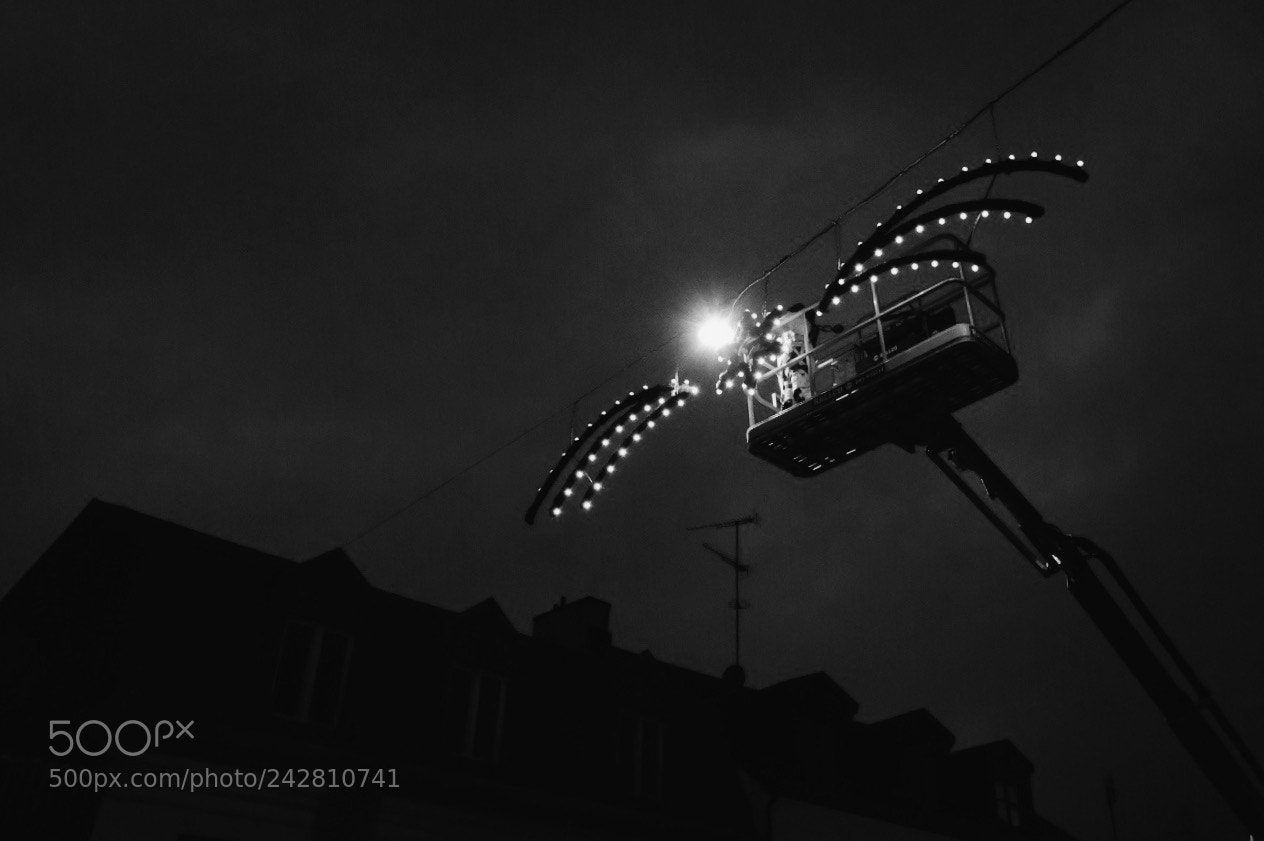 Fujifilm X-T2 sample photo. Untitled photography