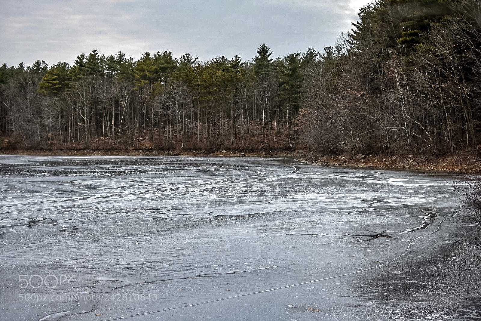 Nikon D7200 sample photo. On the banks photography