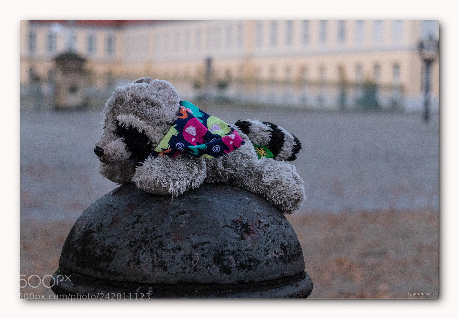 Canon EOS M5 sample photo. Lost photography