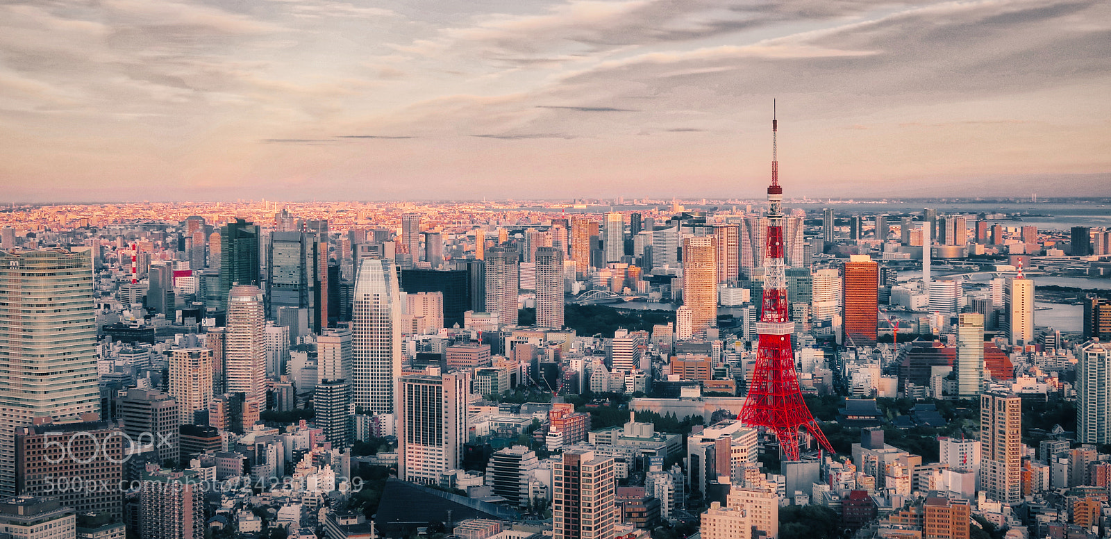 Canon PowerShot G7 X Mark II sample photo. Over tokyo photography