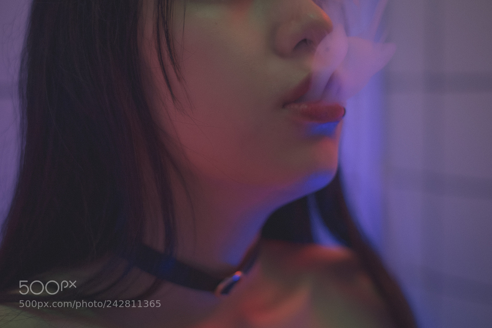 Fujifilm X-Pro1 sample photo. Untitled photography