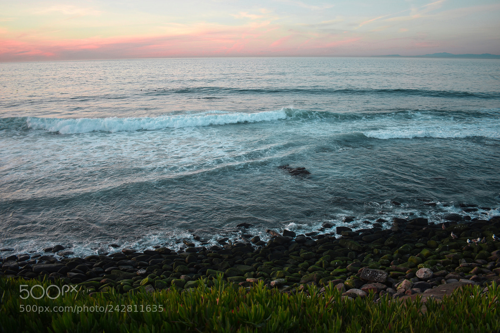 Nikon D3400 sample photo. Pacific ocean , san diego photography