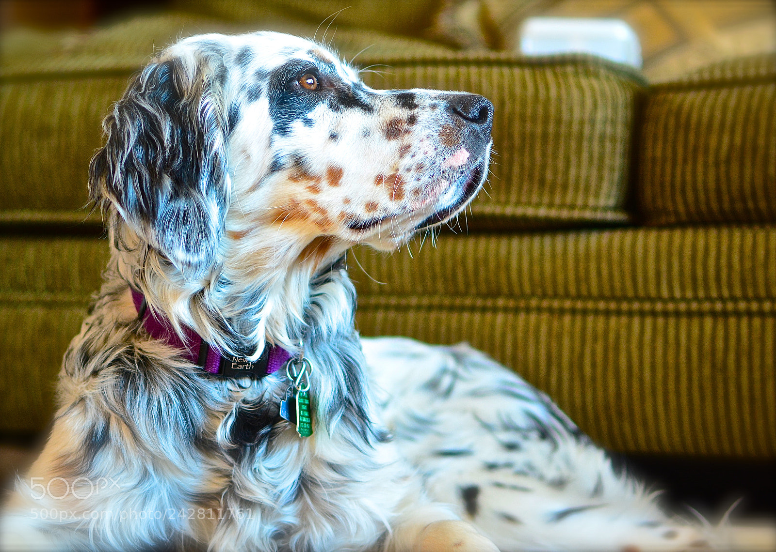 Nikon D7100 sample photo. Untitled photography