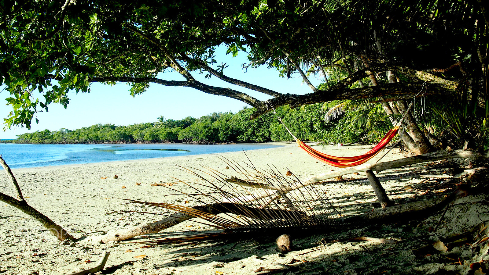 Olympus PEN E-PL3 sample photo. Paradise on earth photography