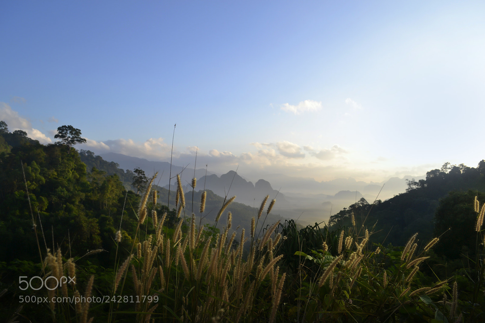 Nikon D3100 sample photo. Khao sok national park photography