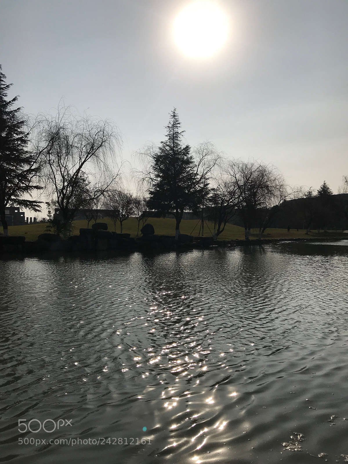 Apple iPhone 7 Plus sample photo. Untitled photography
