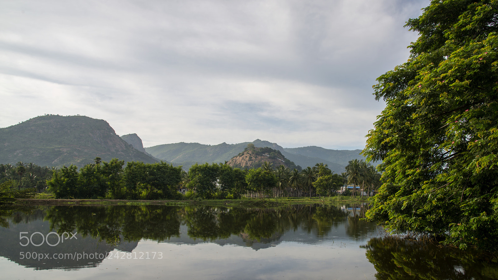 Nikon D800E sample photo. Reflection photography