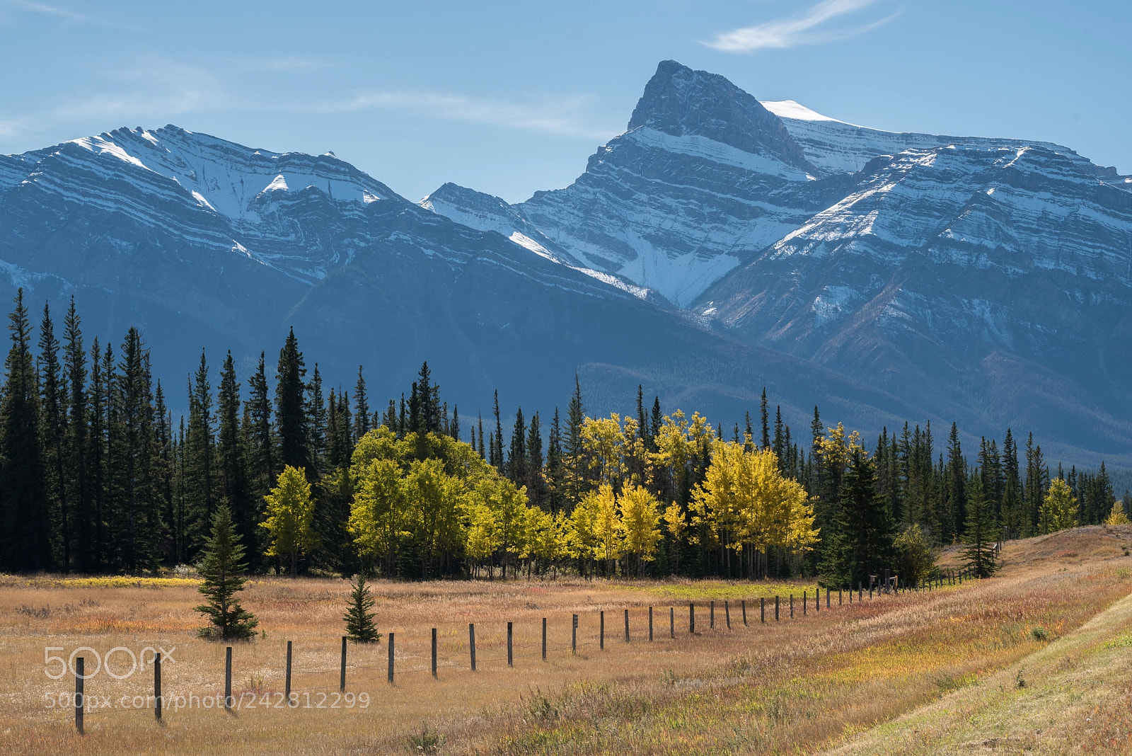 Nikon D810 sample photo. Kootenay plains #2 photography