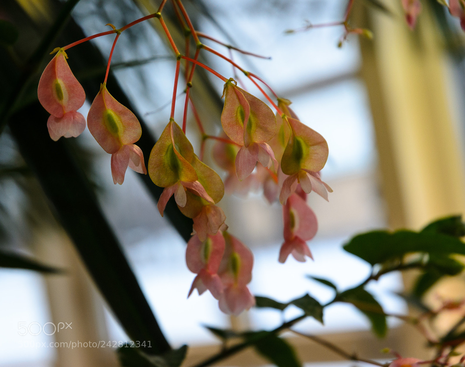 Nikon D5100 sample photo. 275 photography