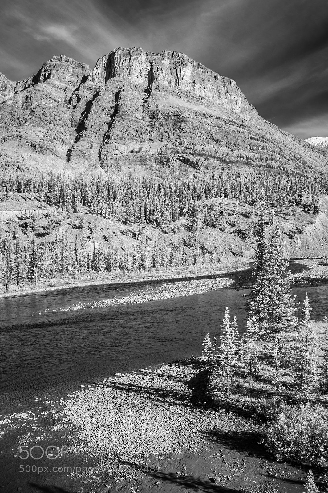 Nikon D700 sample photo. Sascatchewan river #3 photography
