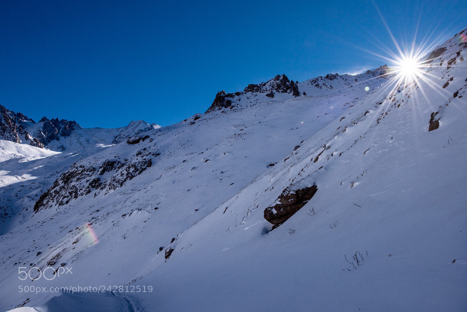 Nikon D810 sample photo. The spying sunny photography