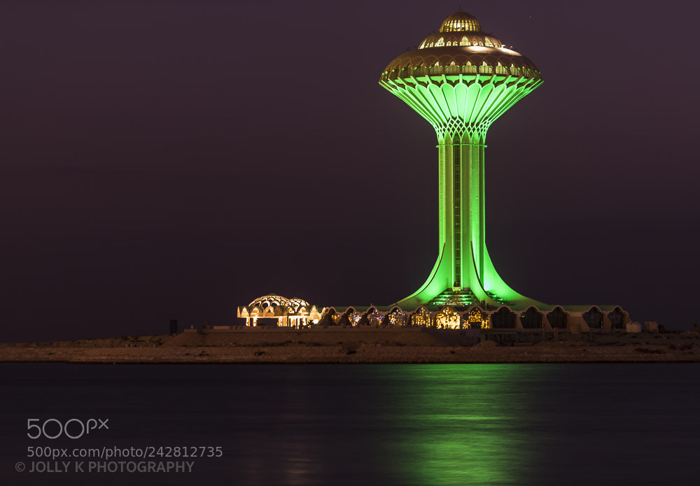 Nikon D850 sample photo. Tower photography
