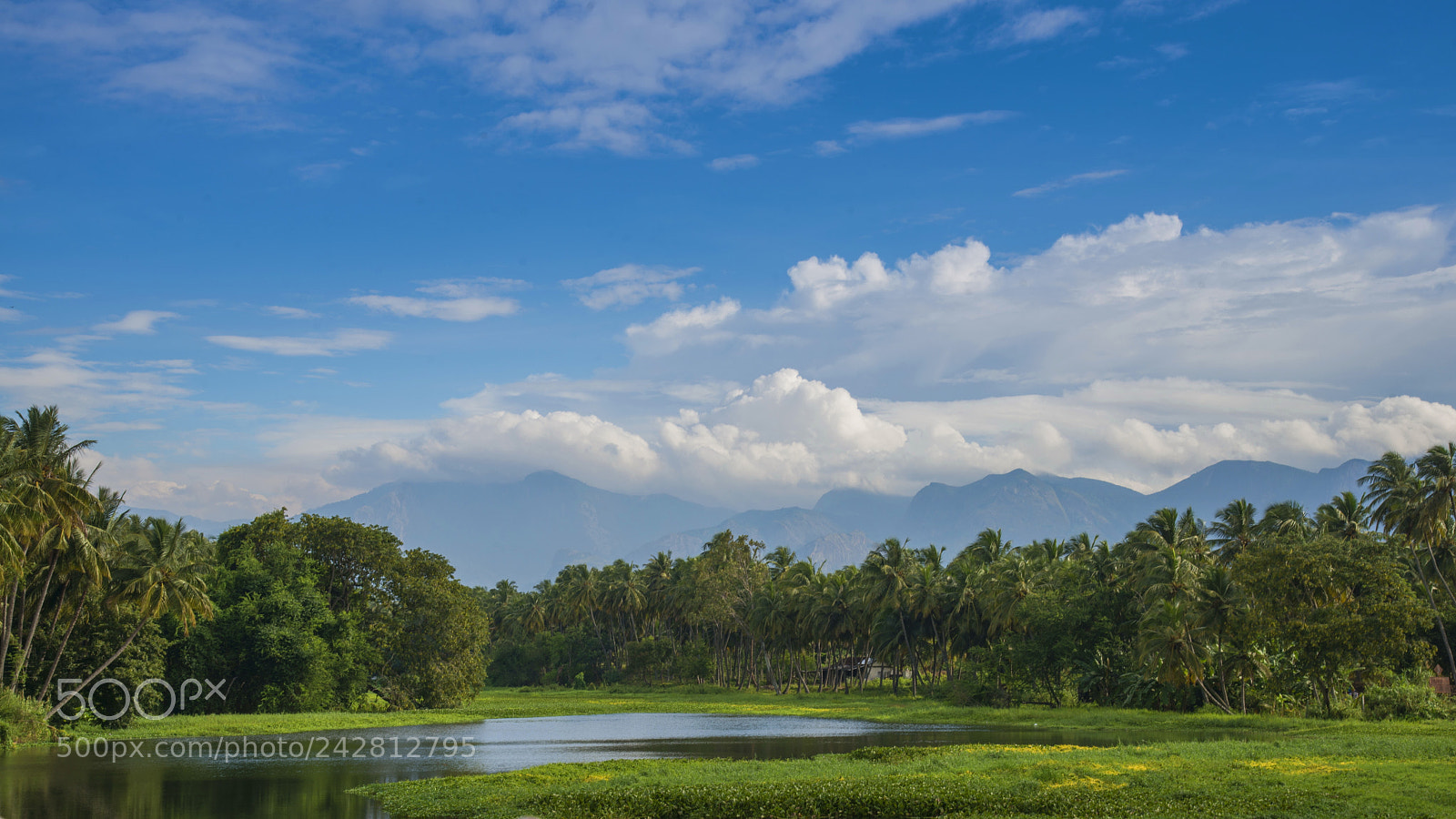 Nikon D800E sample photo. Aanaimalai photography