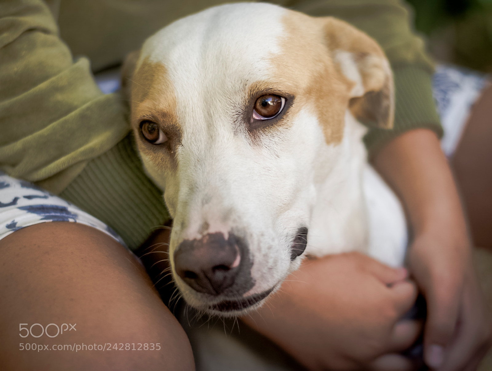 Nikon D7200 sample photo. Untitled photography