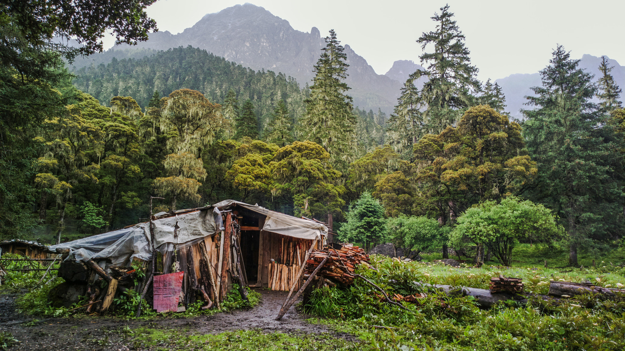 Nokia 808 PureView sample photo. Nomad's hut photography
