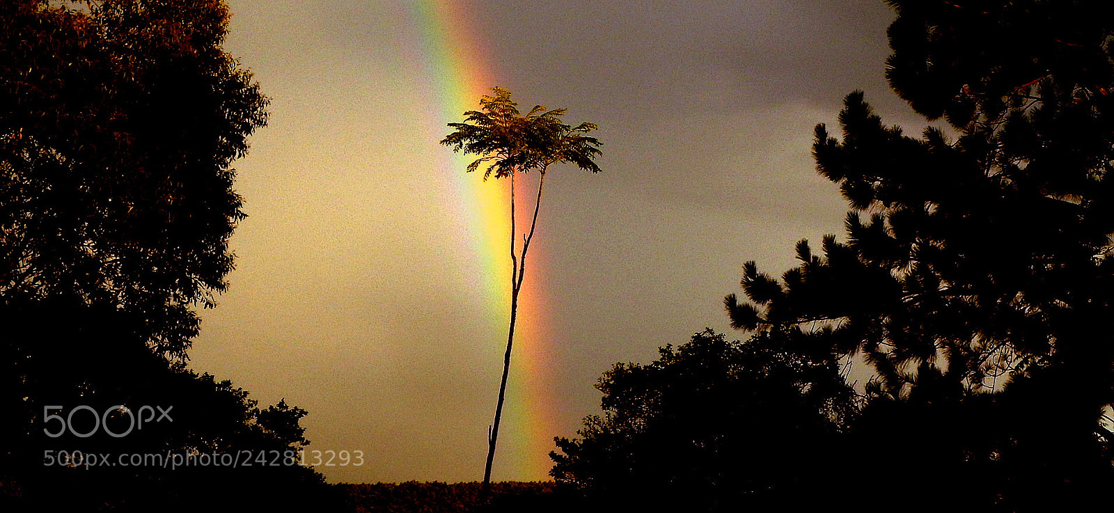 Fujifilm FinePix SL1000 sample photo. Picture .... photography