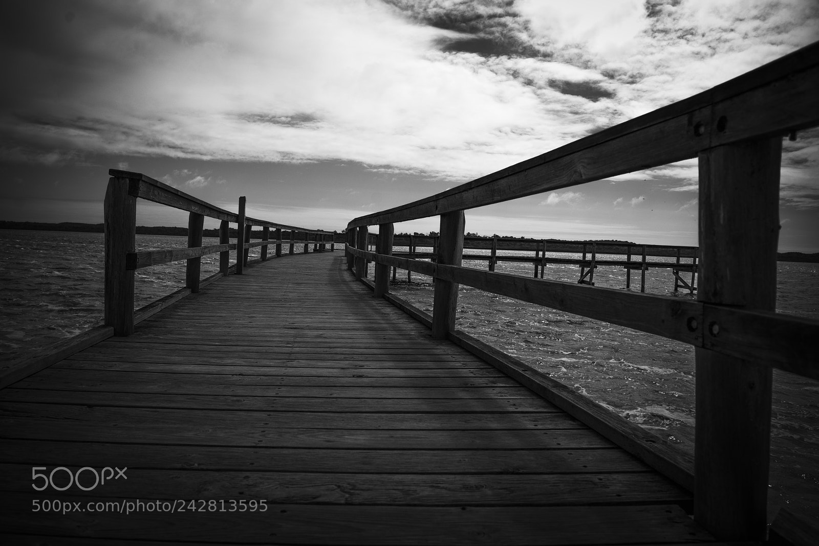 Nikon D610 sample photo. Leading photography