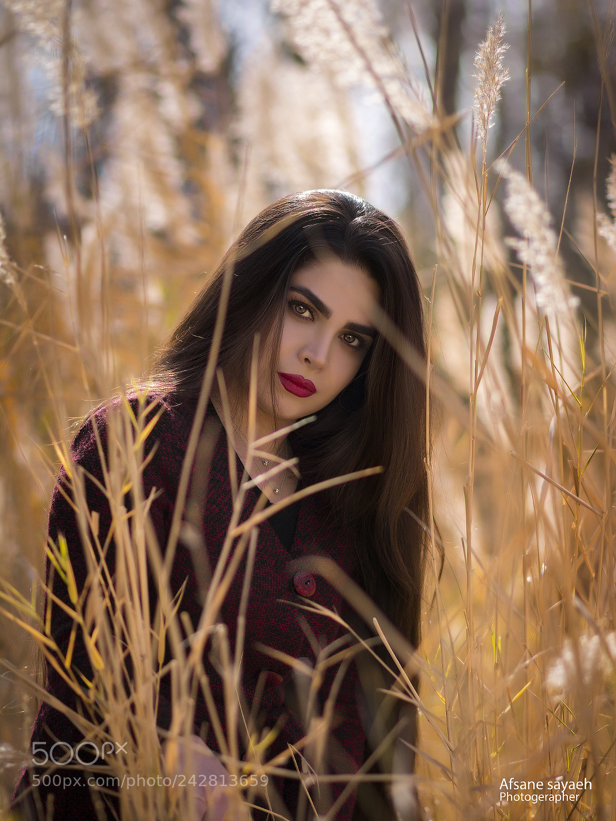 Nikon D7100 sample photo. Untitled photography