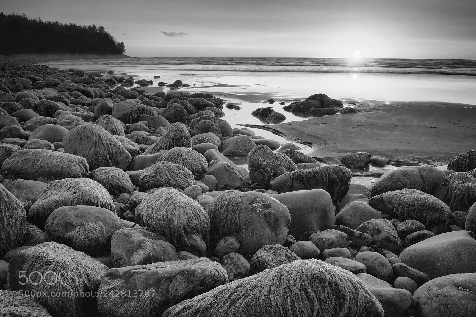 Nikon D300S sample photo. Low tide photography