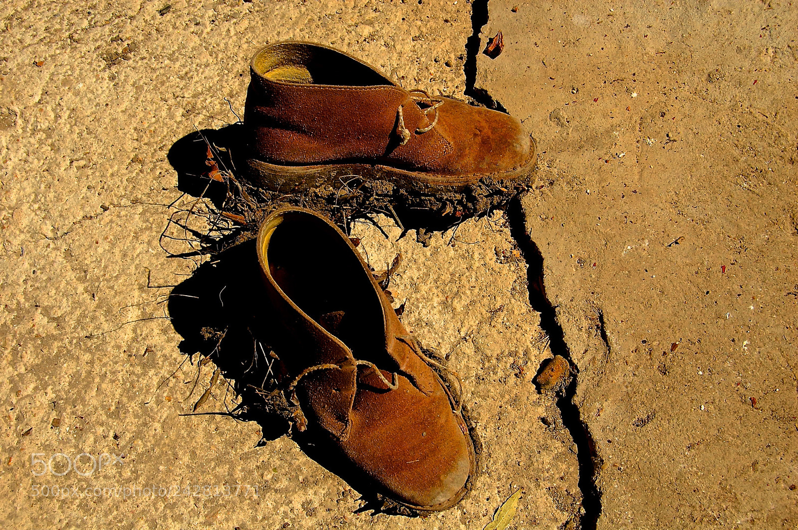 Nikon D40 sample photo. “my grandpa’s shoes” photography